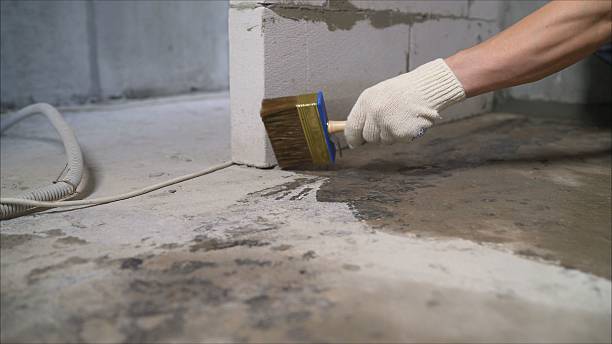 24/7 Emergency Crawl Space Encapsulation experts in Scotts, MI